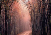 阿莫林对费尔南德斯离队的态度曝光，皇马酝酿转会计划.