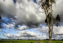 蜂鸟电竞：曼城主场2-0战胜莱斯特城，哈兰德打破四场进球荒，萨维尼奥传射建功.