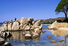 [中超]中超补赛 上海海港击败梅州客家.